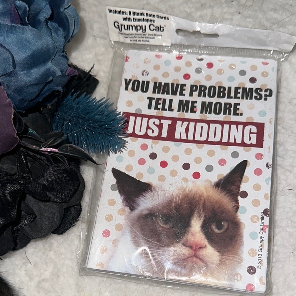 Grumpy Cat Blank Note Cards with Envelopes 8 Count Sarcastic Meme Stationery
